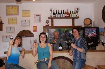 Private beaujolais wine tour from lyon. visit oingt, taste 8 wines at 2 wineries, explore medieval villages & the golden stones region. book your half-day trip.