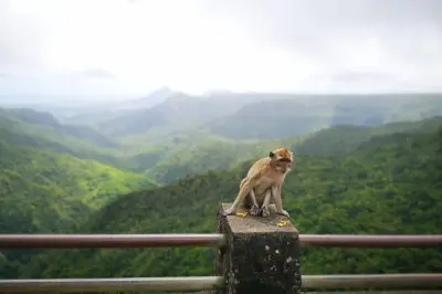 Trou aux Cerfs & Black River Gorges private Tour Süd-Mauritius