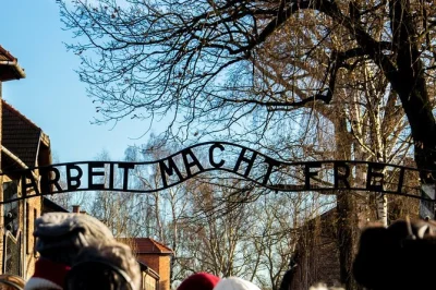 Step quietly through auschwitz & birkenau with a licensed guide, hotel pickup from krakow, and shared transfers. includes museum entry, headphones, and local insights.