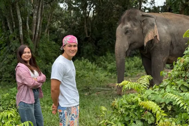 Safari jungle koh samui : Jeep, éléphants sauvés et sommet