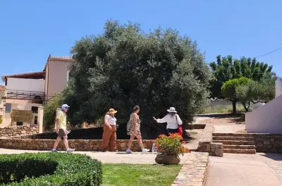 Mezza giornata a Chania e ulivo di Vouves con degustazione inclusa