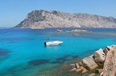 Snorkel no golfo di Olbia: Lancha rápida privativa, peixes coloridos