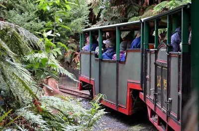 Coromandel: Driving Creek Railway e Hot Water Beach em um dia