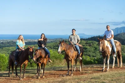 Découvrez oahu à cheval, entre sentiers ombragés et pâturages ouverts, accompagné d’un petit groupe. casques, guide local et parking gratuit inclus.