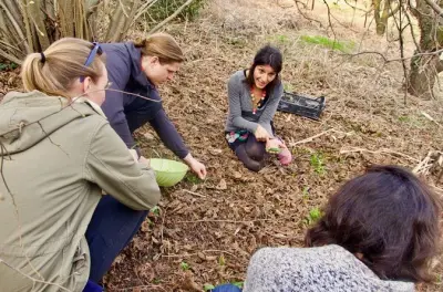 Cooking Class in Asti: Farm-to-Table with Viviana
