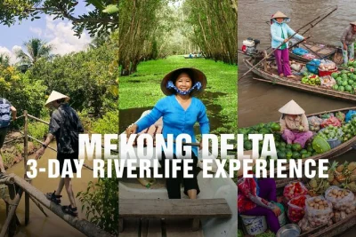 From saigon to phnom penh, taste mekong delta food, cruise floating markets, and explore tra su forest with a local guide—includes hotel pickup and fast boat.