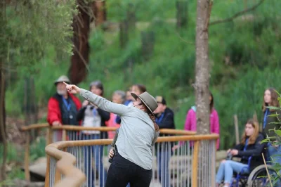 Partez à la découverte des forêts des otways, observez des koalas sauvages et échangez avec des experts de la conservation sur cette balade nature le long de la great ocean road—avec guide, jume