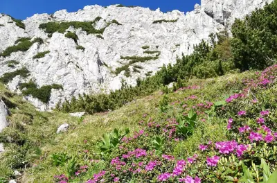 Wandern im Nationalpark Piatra Craiului – Schwierigkeitsgrad wählen