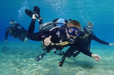 Siente la emoción de tu primera respiración bajo el agua en cozumel, guiado por un instructor padi. incluye equipo completo, inmersión en arrecife local y curso online para principiantes.