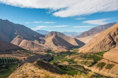 Scopri l’energia della valle de elqui con una gita da la serena: degustazioni di pisco, vino biologico e pranzo casalingo a pisco elqui. include pick-up e guida locale.