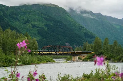 Erlebe alaskas wilde seite: fahrt mit dem glacier discovery train, begegnung mit geretteten bären im wildlife center und entspannte eisberg-tour auf dem spencer lake. inklusive lunch & hin- und rück