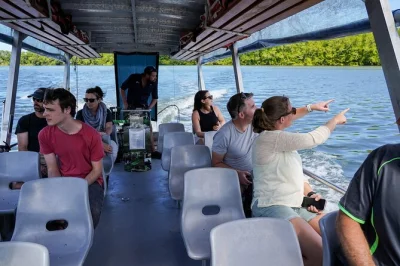 Explorez la faune du daintree avec une demi-journée au départ de port douglas : croisière sur la rivière, balade dans la forêt tropicale de mossman gorge et pause gourmande. prise en charge inclu