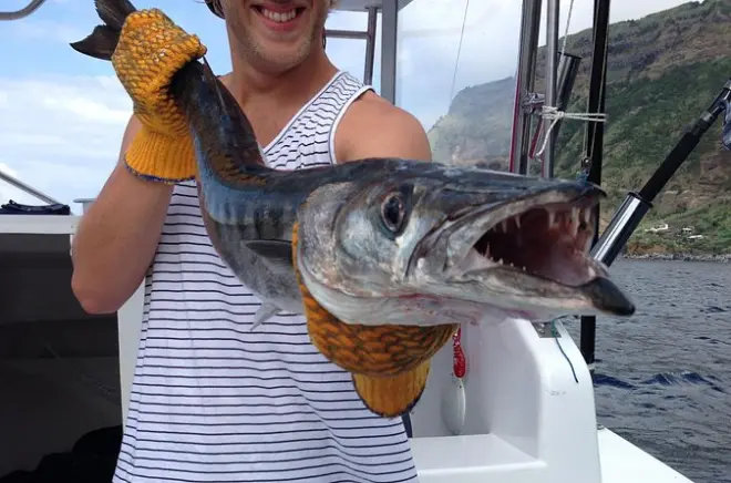 Pesca costiera a São Miguel: Avventure in barca per piccoli gruppi