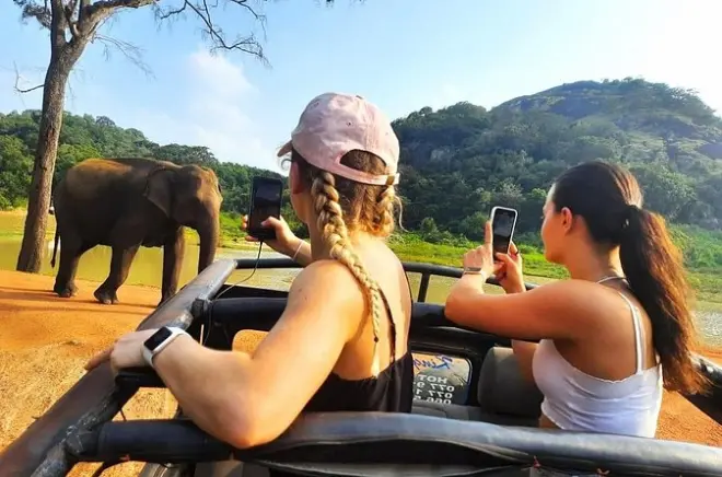Safari a Habarana Eco Park con elefanti selvatici e pick-up privato