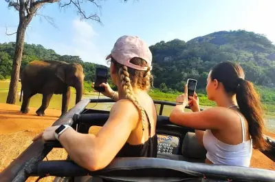 Safari a Habarana Eco Park con elefanti selvatici e pick-up privato