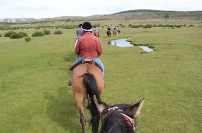 Paseo a caballo en Bariloche: Dos horas con almuerzo asado