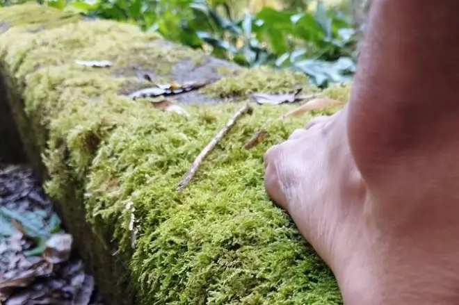 Benessere a Lagoa das Furnas con bagno nella foresta e massaggi