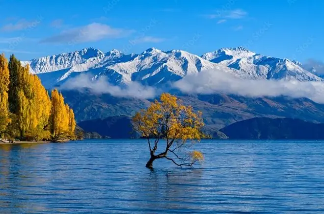 Queenstown nach Franz Josef Tagestour über Wānaka in kleiner Gruppe