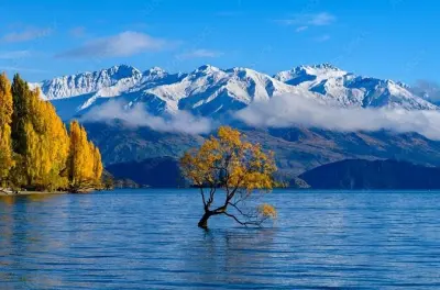 De Queenstown à Franz Josef : Excursion d’une journée en petit groupe via Wānaka