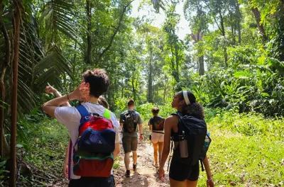 De Manzanillo a Punta Mona: Selva, fauna y playas secretas