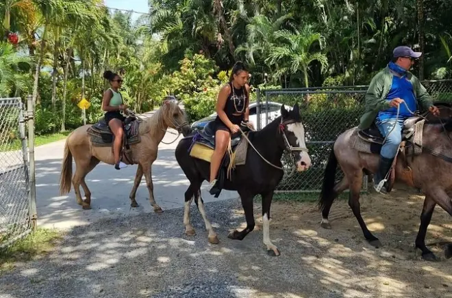 Ziplining in Roatan: Reiten & Öko-Park