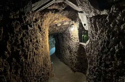 Weingut Samaniego: Tunnel, Stollen & Weinprobe