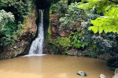 Süd-Mauritius: Black River Gorges, Vulkan, Strand