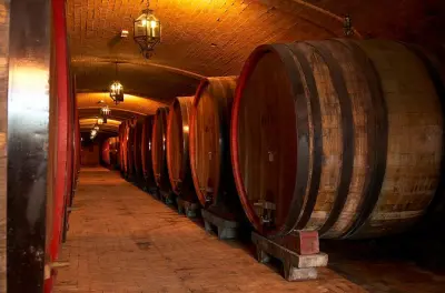 Degustazione vini e visita cantina a Montepulciano: Cooperativa 1937