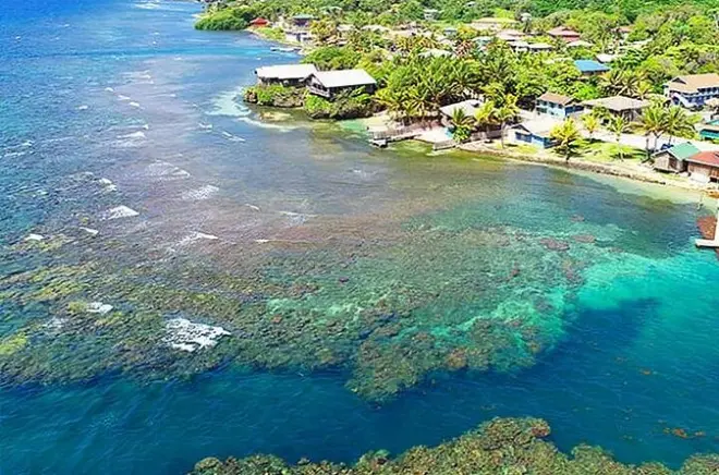 Roatan Diving: 2-Tank Shore Dive with Local Divemaster & Lunch