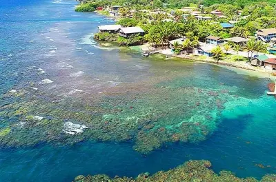Mergulho em Roatan: 2 Mergulhos com Divemaster Local e Almoço