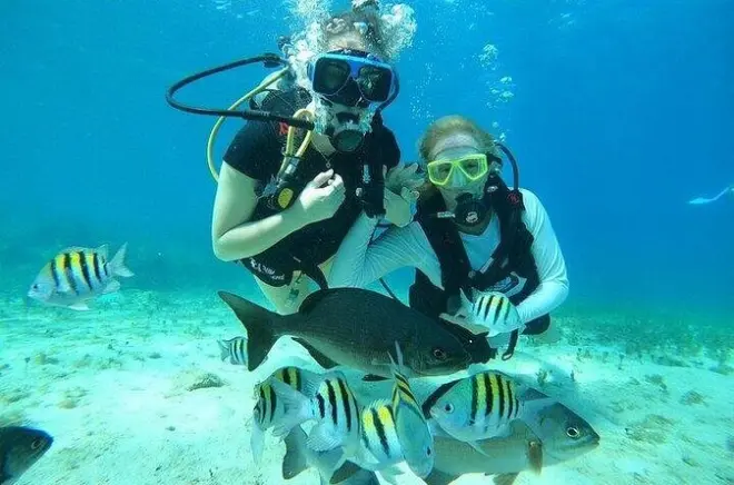 Buceo en Cozumel: Primera inmersión en el parque Chankanaab