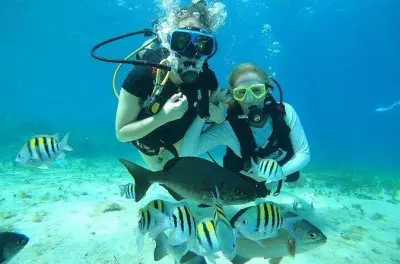 Tauchen in Cozumel: Erster Tauchgang im Chankanaab Park