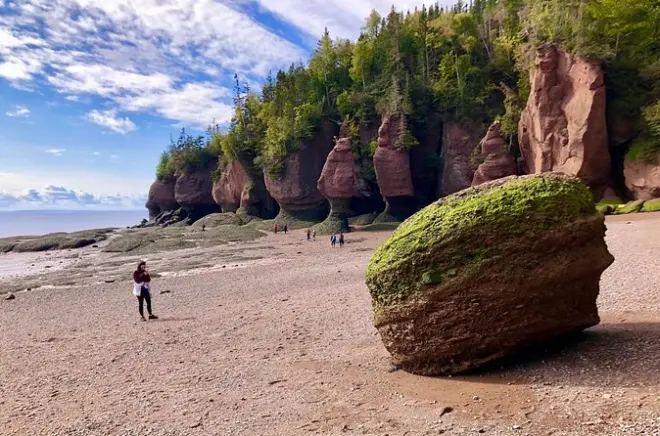 Hopewell Rocks e parco nazionale Fundy da Saint John