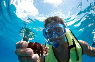 Snorkeling Big Island: Kawaihae Harbor, two reef sites