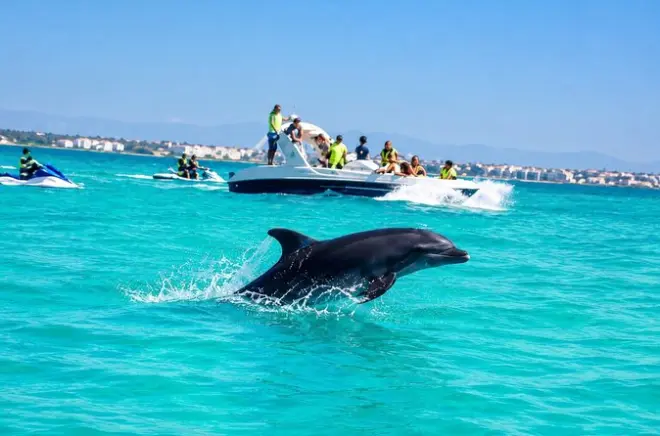 Avistamiento de delfines en Djerba: Paseo en barco y baño incluido