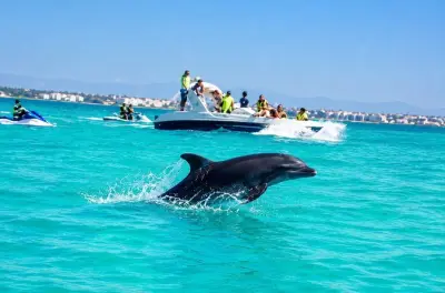 Avistamiento de delfines en Djerba: Paseo en barco y baño incluido
