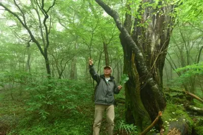 Foresta del Fuji da Shin-Fuji, escursione mezza giornata guidata