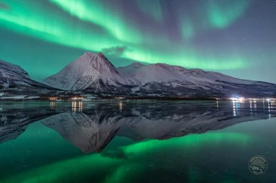 Depuis tromsø, partez en petit groupe en van à la chasse aux aurores boréales, avec combinaisons thermiques, goûter au feu de camp et photos offertes. prise en charge et guide local inclus.