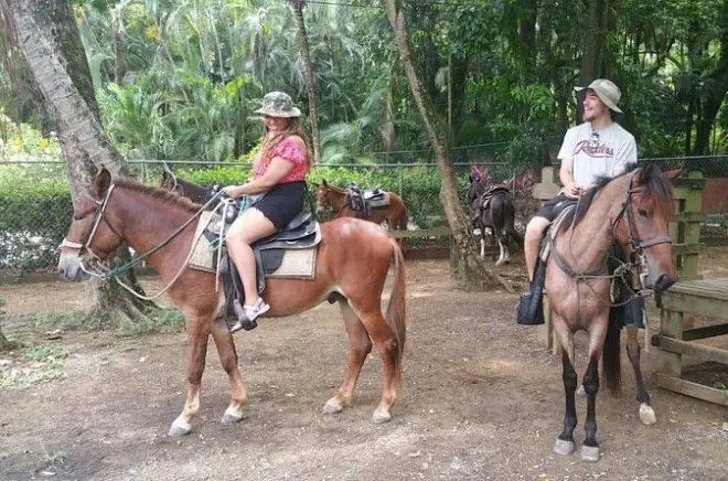 Snorkeling a Roatan: Equitazione e spiaggia di West Bay