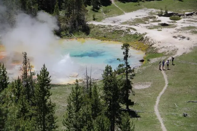 Escursione a Yellowstone da Jackson con garanzia fauna selvatica