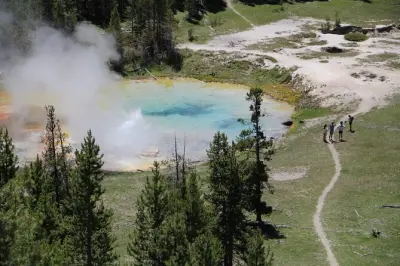 Escursione a Yellowstone da Jackson con garanzia fauna selvatica
