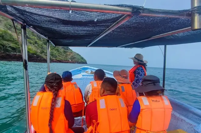 Paradise Islands tour from Panama beach hotels: Whale watching included
