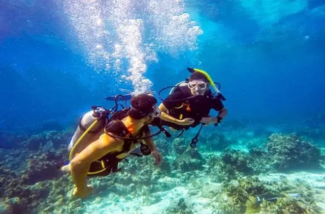 Roatan Scuba Diving in Flowers Bay: Shore Dive with Gear