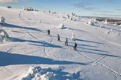 Lapland Snowshoe Adventure in Äkäslompolo: Small-Group Tour