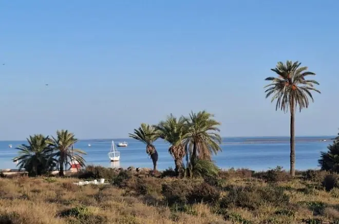 Kerkennah e lagune: 4 giorni tra pescatori e spiagge selvagge