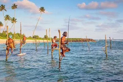 Galle desde Colombo: Fuerte UNESCO y alimentación de tortugas