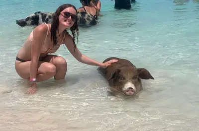 Snorkel em Nassau: Recife, tartarugas e porcos nadadores