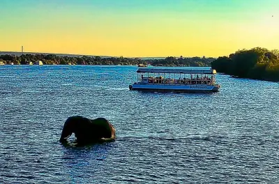 Crociera all'alba sul fiume Zambesi alle Victoria Falls