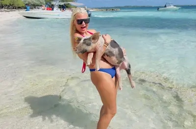 Rose Island Reef: Schnorcheln mit Schweinen, Schildkröten & Korallen