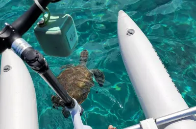 Water bike tour Curaçao: Sea turtles, photos included